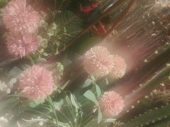 -百特喜·意大利餐厅(八佰伴镇江店)