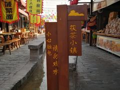 -茯茶镇