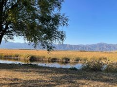 -野鸭湖国家湿地公园
