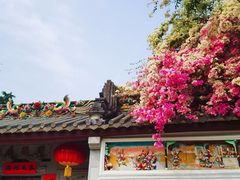 -深圳国际园林花卉博览园