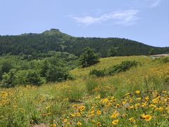 -佛慧山