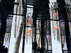 -中国湿地博物馆