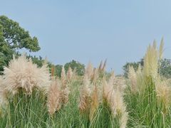 -良渚古城遗址公园