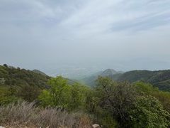 -大觉寺-停车场