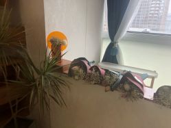 -春田皮肤管理中心品牌旗舰店