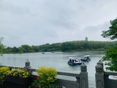 -宜兴龙背山森林公园