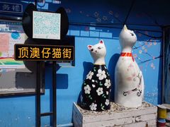 -猫咪博物馆(顶澳仔猫街店)