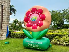 -宝安西湾红树林湿地公园