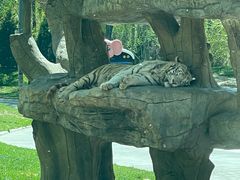 -北京野生动物园