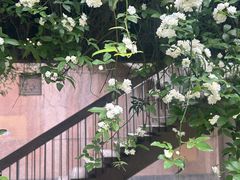 -四川大学(望江校区)