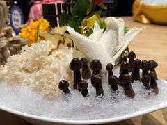 -尚海豆捞(乐虹坊店)