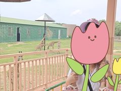 -鄂尔多斯野生动物园