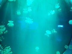 -多彩贵州城极地海洋世界