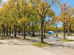 -新江湾城公园