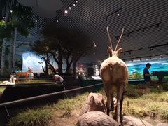-中国湿地博物馆