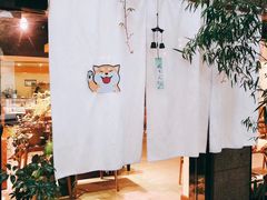 -柴务处·柴犬主题狗咖