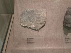 -南越王博物院(王宫展区)