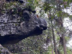 -梭布垭石林景区