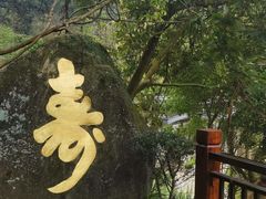 -天鹿湖森林公园