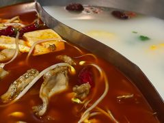-麻田会 ·鲜活现烹·牛蛙火锅(珠江新城维家思广场店)