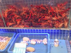 -必点海鲜·鲅鱼水饺(鞍山西道店)