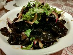 -新疆伏拉沃餐厅(白龙南路店)