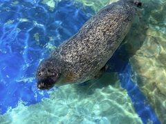 -太平洋海底世界