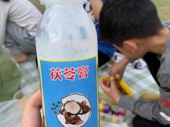 -东莞植物园