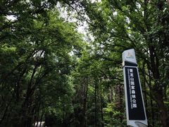 -青龙山国家森林公园