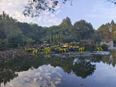 -杭州植物园