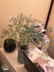 -L.MJ轻奢皮肤管理中心