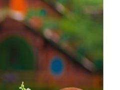 -武汉紫薇都市田园