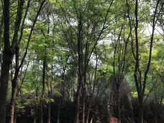-翡翠森林宠物火化殡葬(通州店)