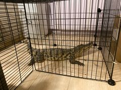 -平行世界·猫咖(首经贸店)