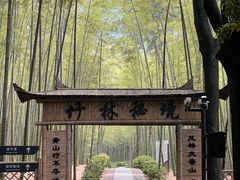 -大奇山国家森林公园