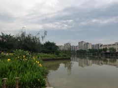 -光明港公园