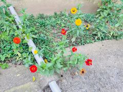 -东方一串·龙虾烧烤·特色烤鱼(柳州路店)