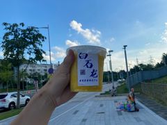 -白石龙音乐公园