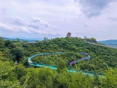 -铜川市金锁关石林