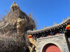 -大槐树寻根祭祖园