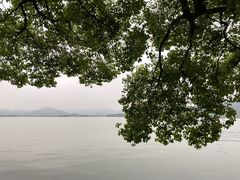 -知味观(湖滨总店)