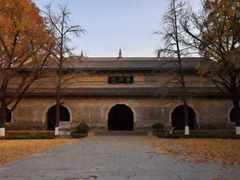 -灵谷景区