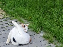 -燕郊植物园