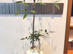 -华祥苑茶业·茶馆茶室(翠竹路店)