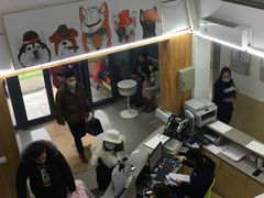 -爱侣宠医·鹦鹉专科·小型哺乳类·异宠专科(灵石路店)