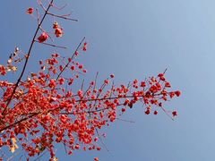 -长春公园(普阳街道)