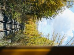 -莫尔道嘎国家森林公园