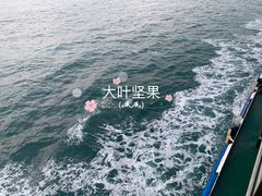 -海安新港(公交站)