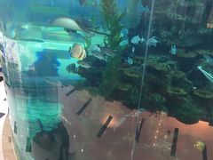 -鸿通城购物中心