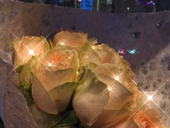 -上海柏悦酒店
